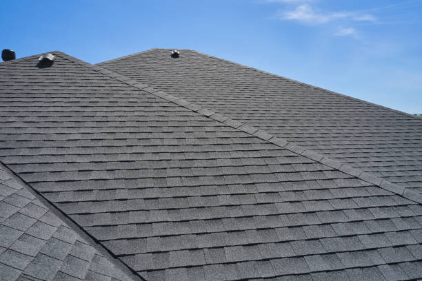 Best Roof Leak Repair  in Theresa, WI