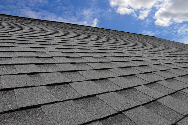 Best Sheet Metal Roofing  in Theresa, WI